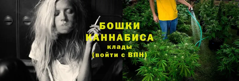 ссылка на мегу вход  Североморск  МАРИХУАНА White Widow 